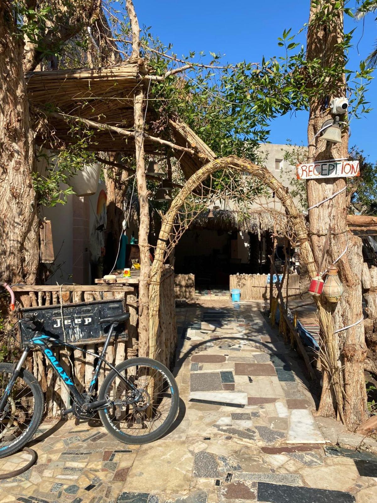 Sunrise Dahab Camp Bed & Breakfast Bagian luar foto